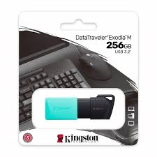 Kingston 256GB USB3.2 Gen1 DataTraveler Exodia M (Black + Teal)