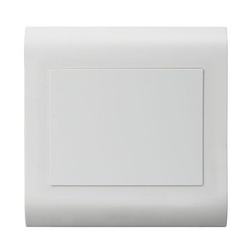 Lesco Pipelli Blank Square Cover Plate (2 pack by Valotronics)