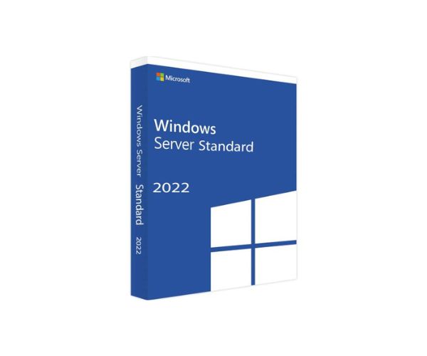 Windows Server 2022 Standard Edition Add License16