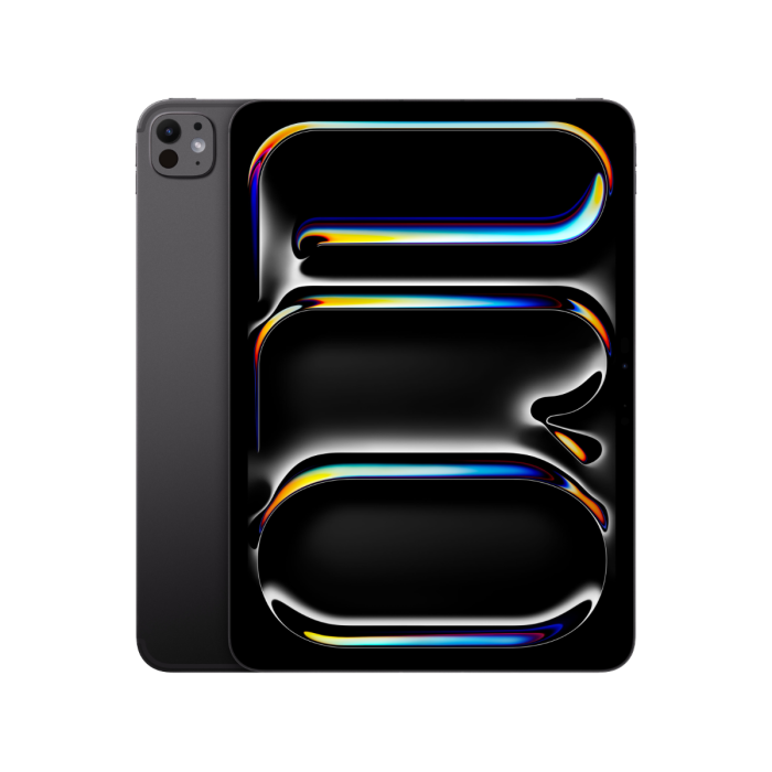 11-INCH IPAD PRO WIFI 256GB WITH STANDARD GLASS - SPACE BLACK