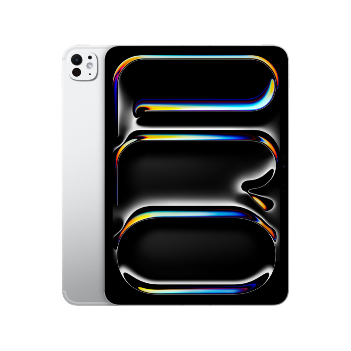 13-INCH IPAD PRO WIFI + CELLULAR 256GB WITH STANDARD GLASS - SILVER