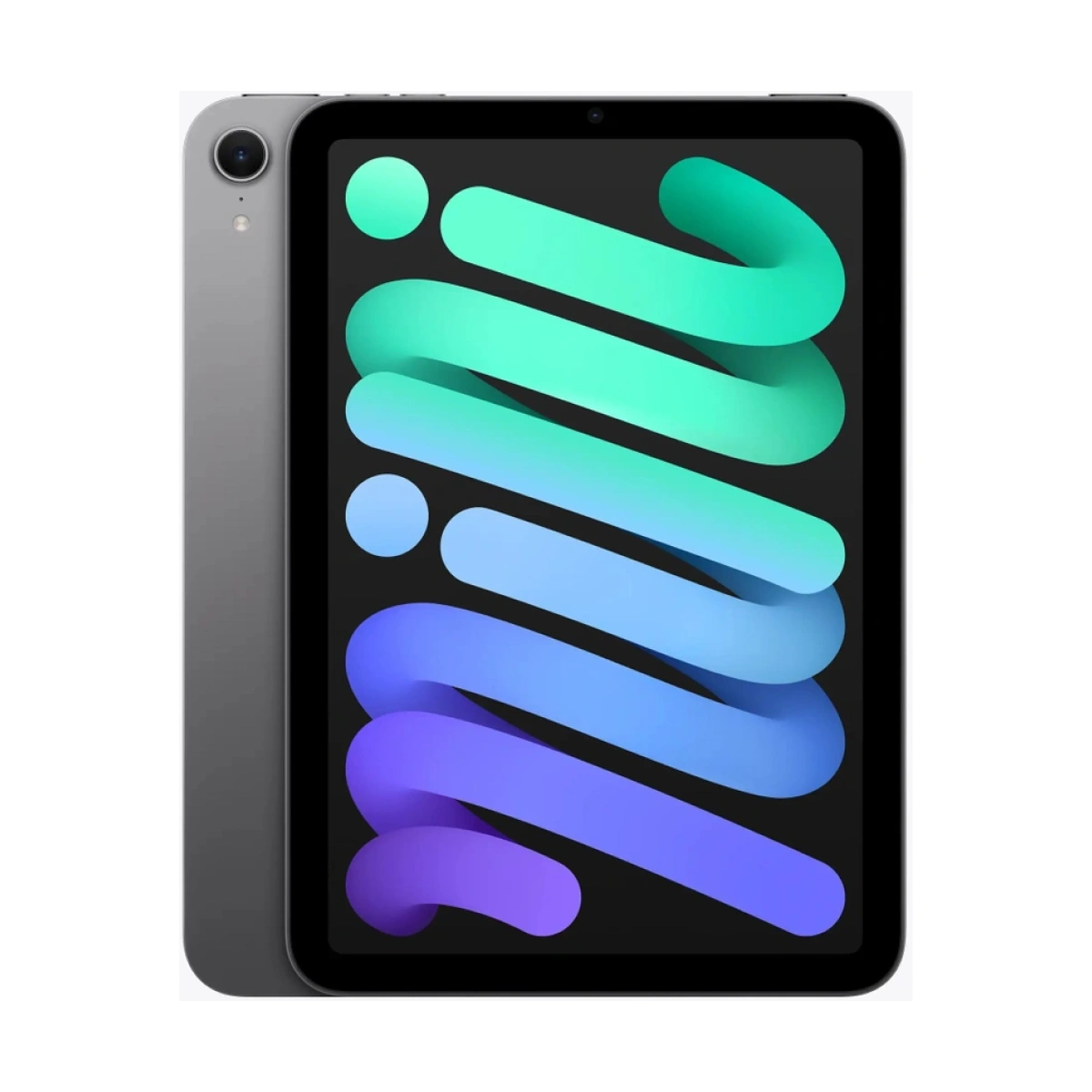 iPad mini Wi-Fi 256GB - Space Grey