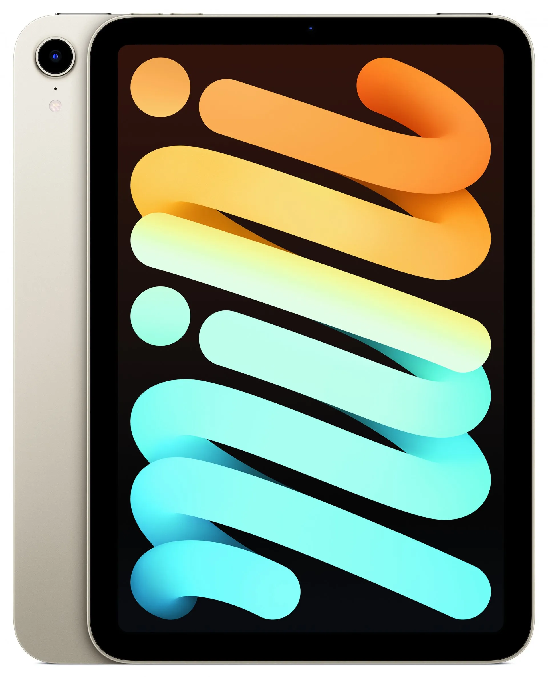 iPad mini Wi-Fi 256GB - Starlight