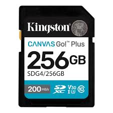 SDG4/256GB sdXc CanvasGo